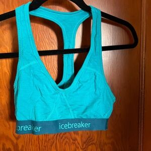 Icebreaker sprite bra